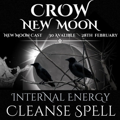 Crow New Moon Internal Energy Cleanse Spell