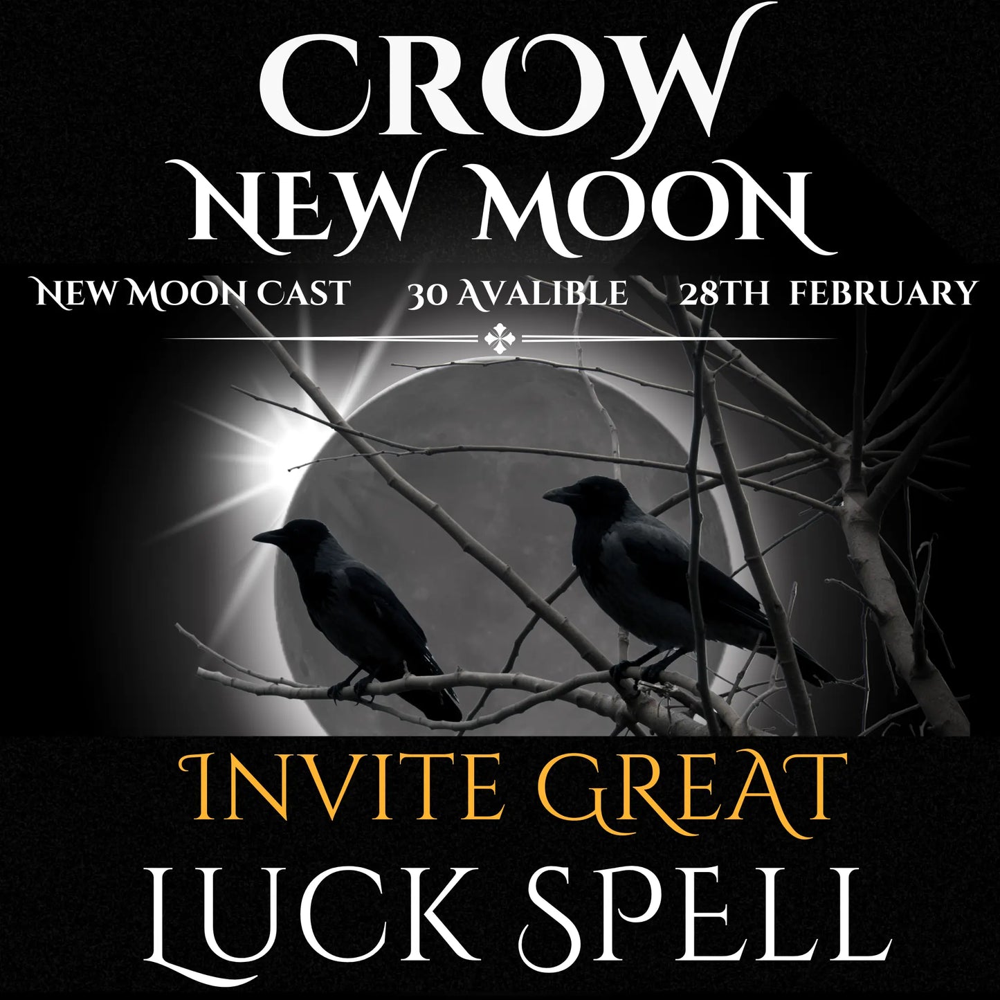 Crow New Moon Invite Great Luck Spell