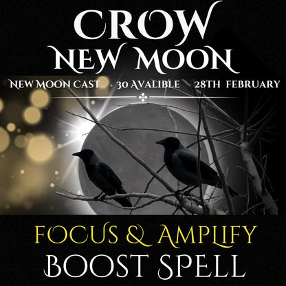 Crow New Moon Focus & Amplify Boost Spell