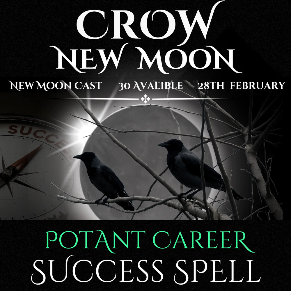 Crow new Moon Potent Career Success Spell