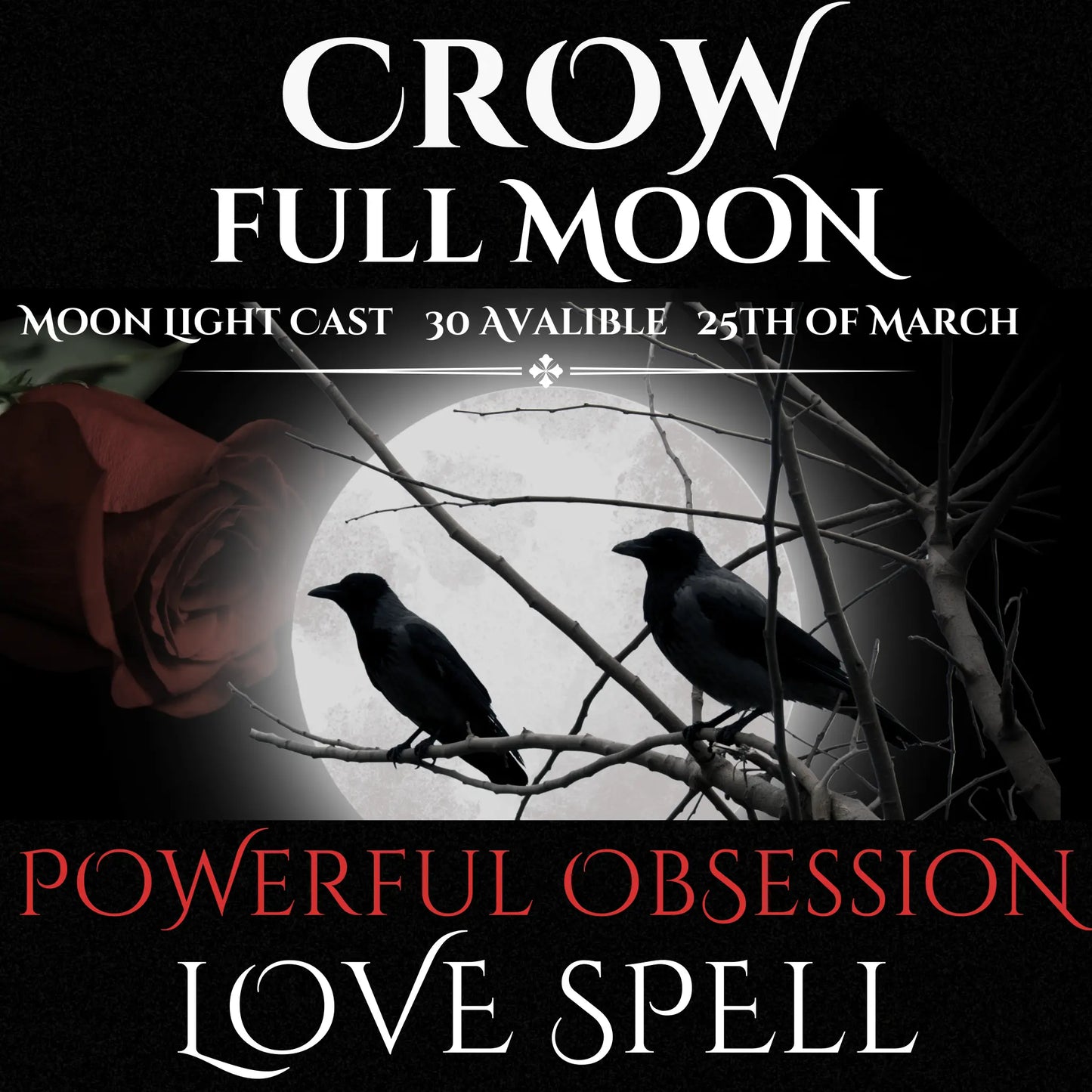 Crow Full Moon Powerful Obsession Love Spell