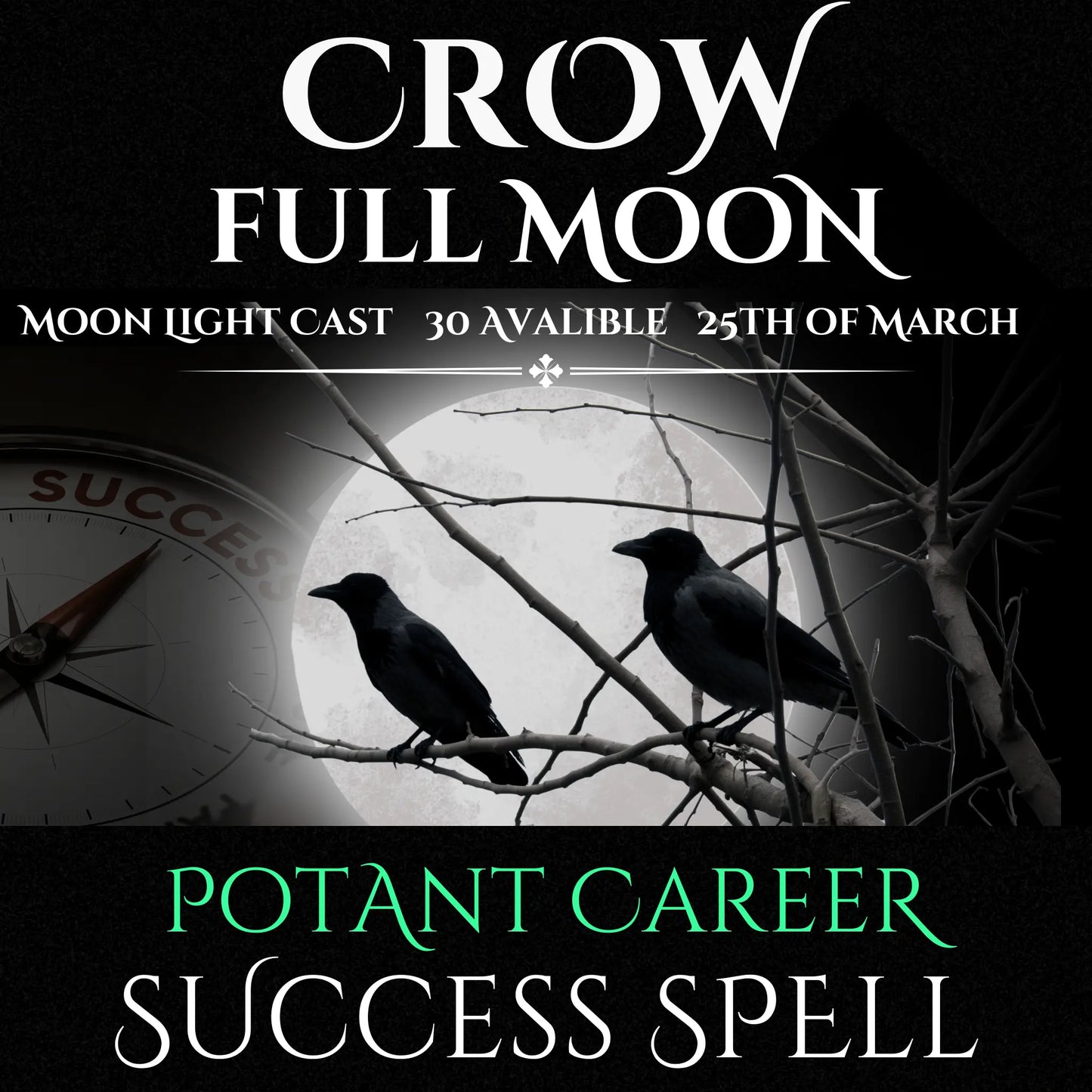 Crow Full Moon Potent Career Success Spell