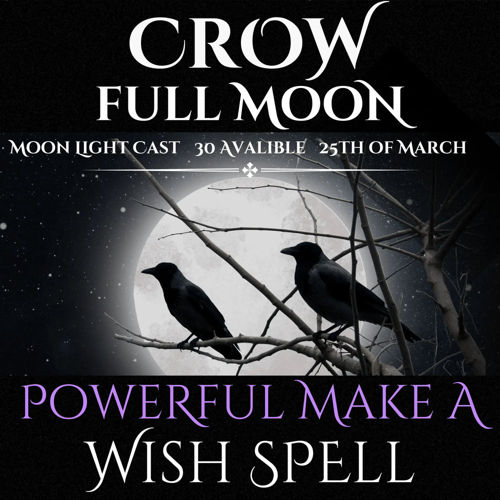 Crow Full Moon Make A Wish Spell