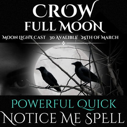 Crow Full Moon Notice Me Spell