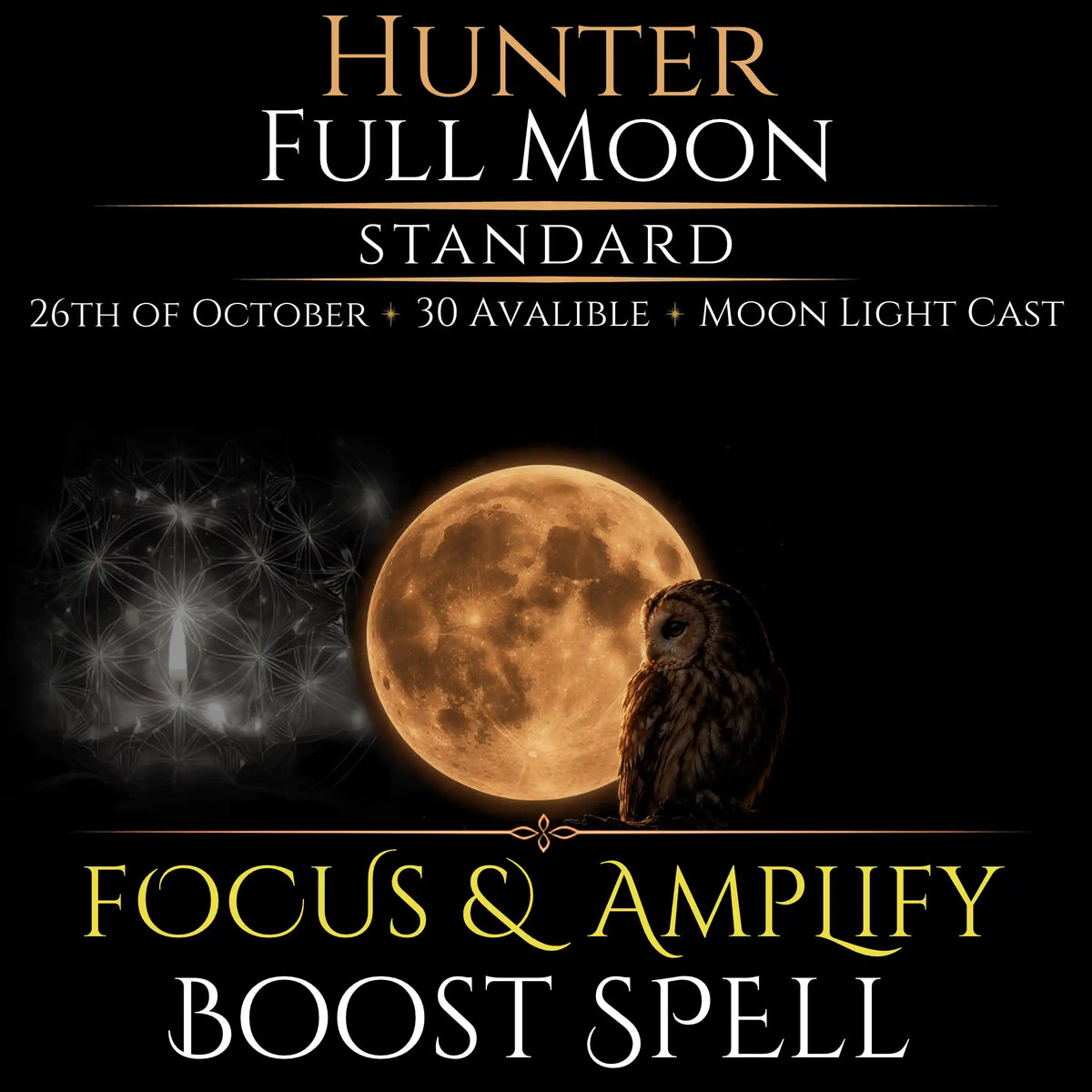Hunter Full Moon Focus & Amplify Boost Spell
